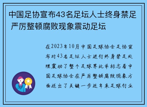 中国足协宣布43名足坛人士终身禁足 严厉整顿腐败现象震动足坛 中国足协宣布43名足坛人士终身禁足 严厉整顿腐败现象震动足坛